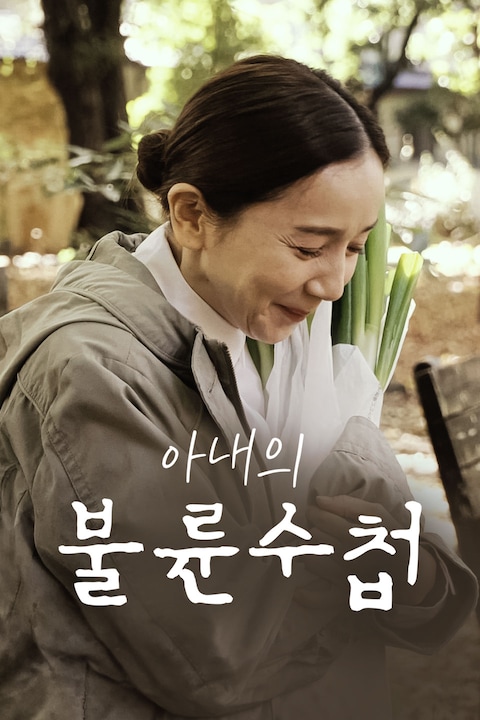 아내의 불륜수첩
