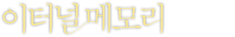 이터널 메모리