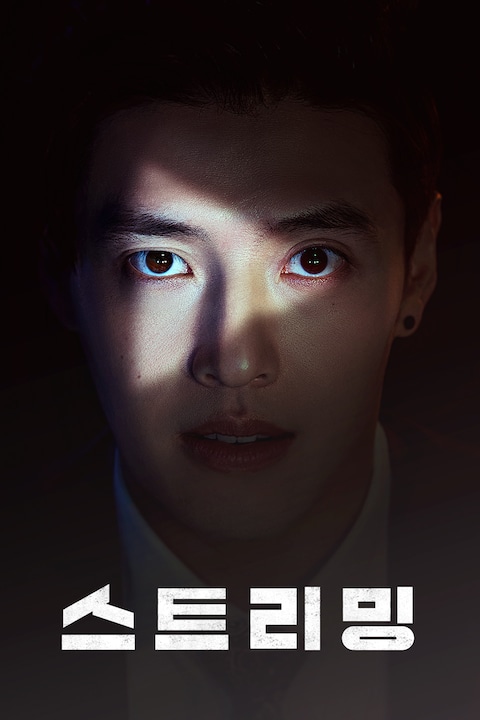 스트리밍