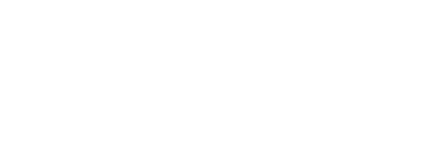 루시드 드림