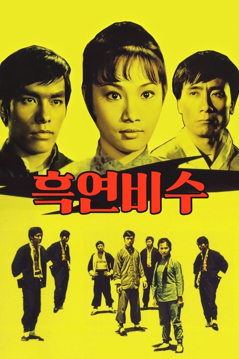 흑연비수