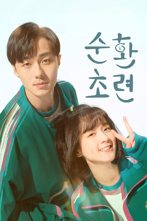 순환초련