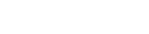 더 캣