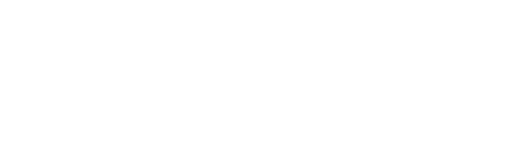 브랜슨