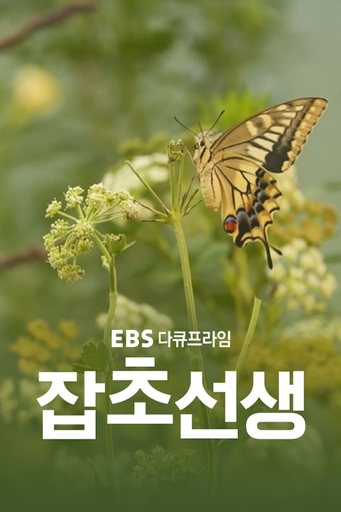 잡초선생 | 다큐프라임