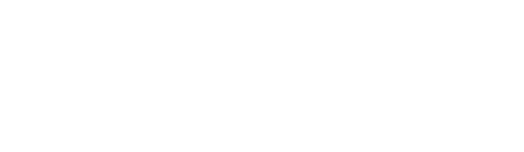 데이비드 홈즈: 살아남은 소년