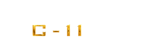 디스트릭트 C-11