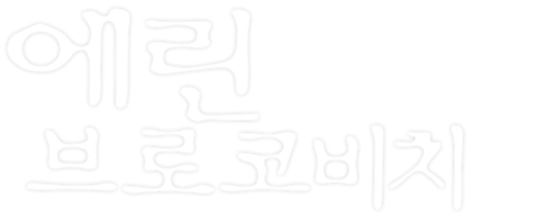 에린 브로코비치