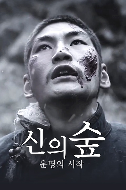 신의 숲: 운명의 시작