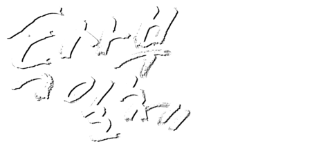 투사부일체