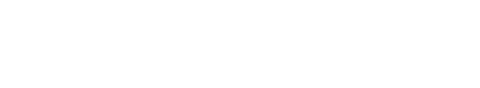 브링힘투미