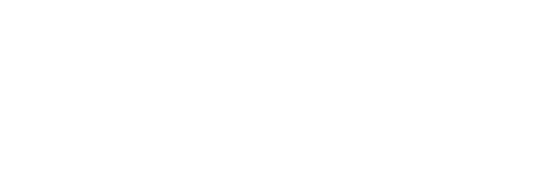 황비홍 2: 남아당자강