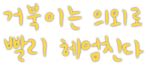 거북이는 의외로 빨리 헤엄친다