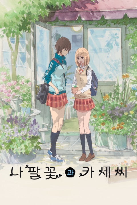 나팔꽃과 카세씨