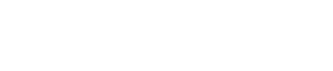위험정인