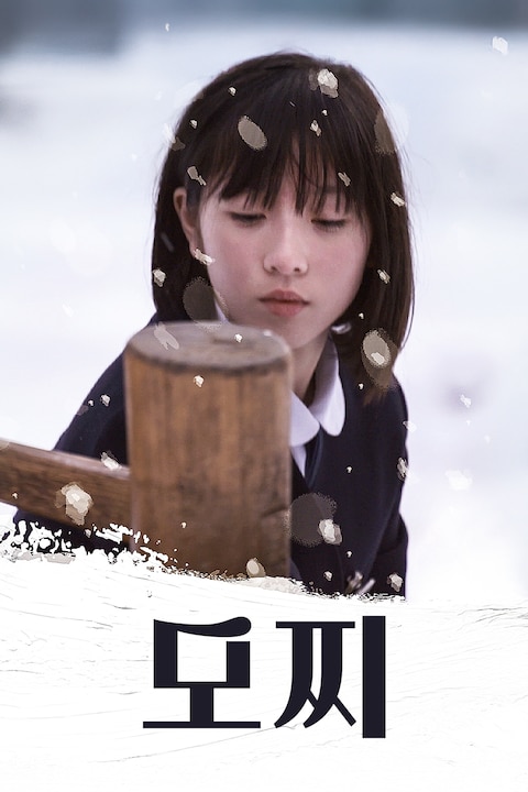 모찌