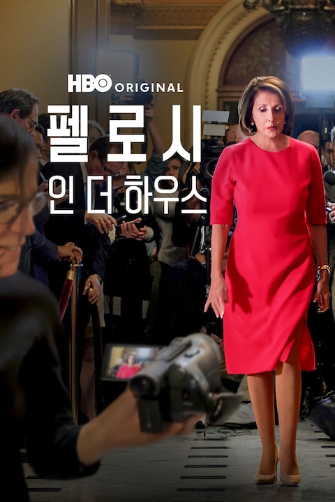 펠로시 인 더 하우스