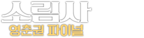 소림사: 영춘권 파이널