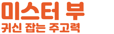 미스터 부: 귀신 잡는 주고력