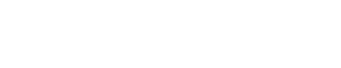 싸움의 기술