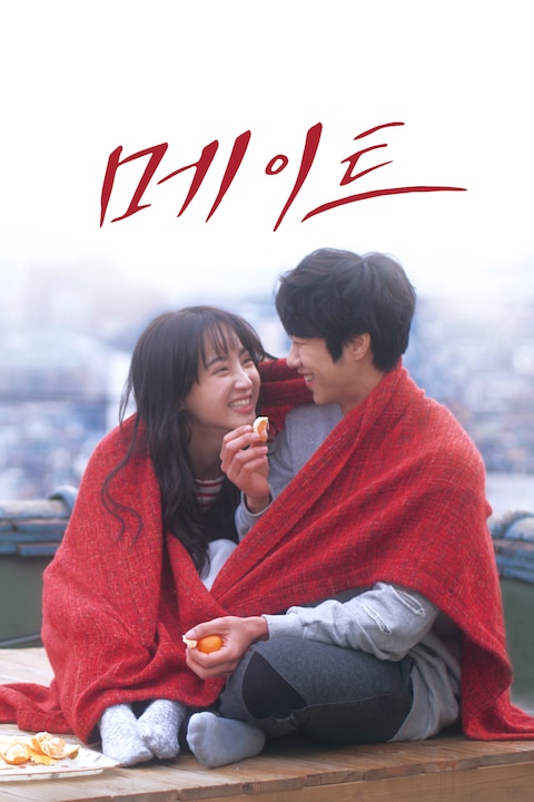 메이트