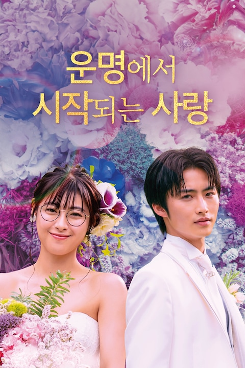 운명에서 시작되는 사랑