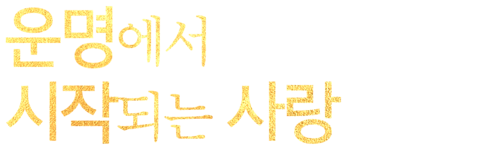 운명에서 시작되는 사랑