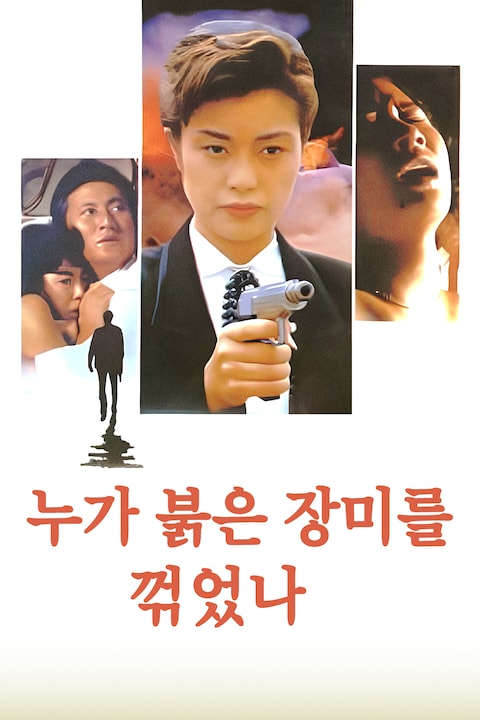 누가 붉은 장미를 꺾었나