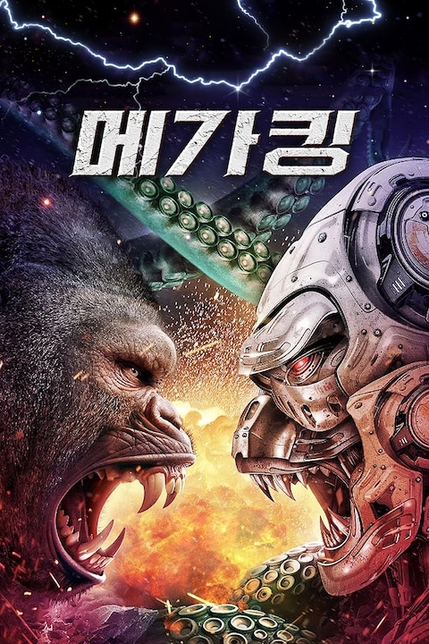 메가 킹