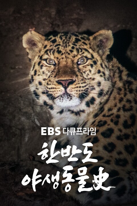 한반도 야생동물사 | EBS 다큐프라임