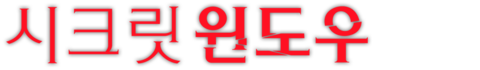 시크릿 윈도우 