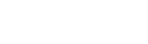앤 셜리