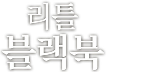 리틀 블랙 북