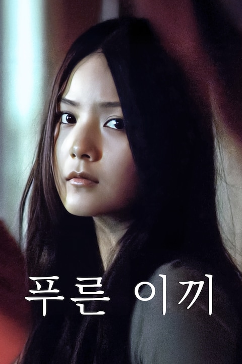 푸른 이끼