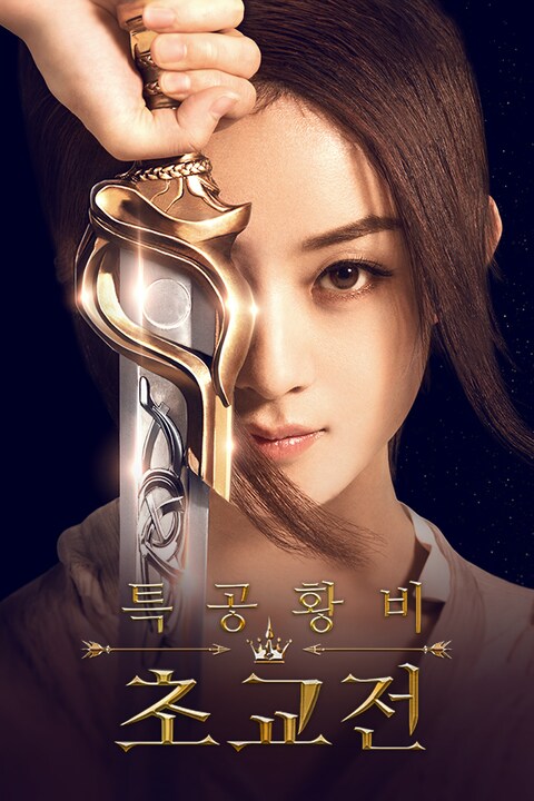특공황비 초교전