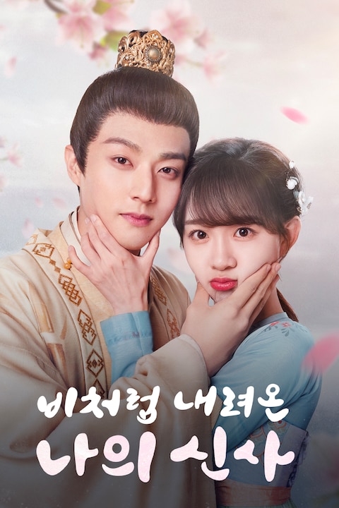 비처럼 내려온 나의 신사
