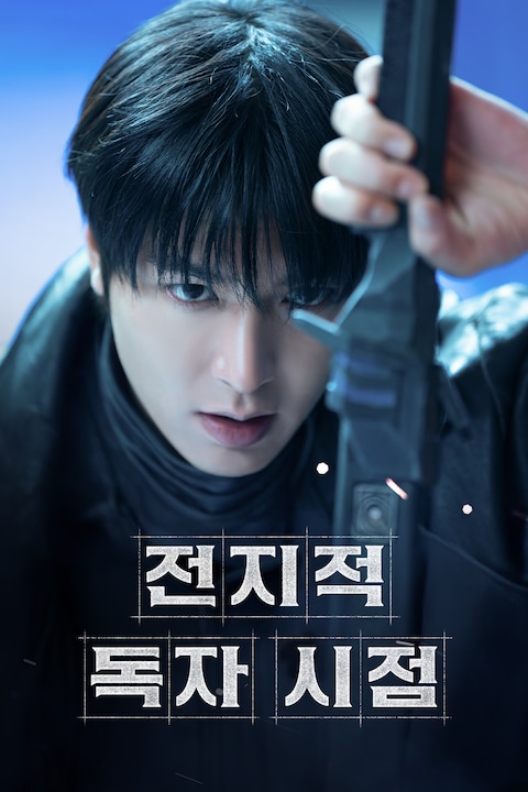 전지적 독자 시점