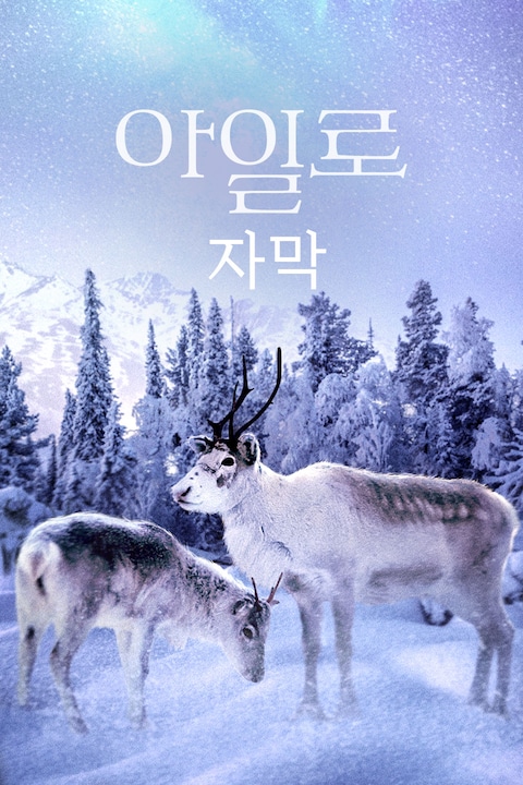 아일로 (자막)