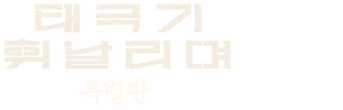 태극기 휘날리며 (특별판)