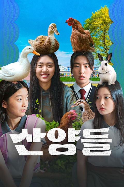산양들