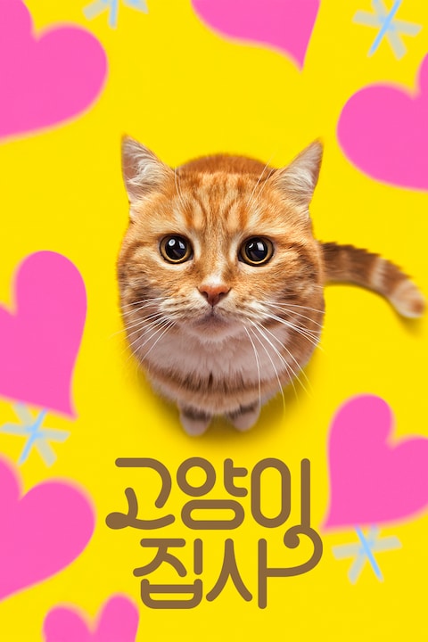 고양이 집사