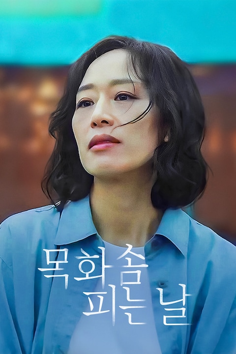 목화솜 피는 날