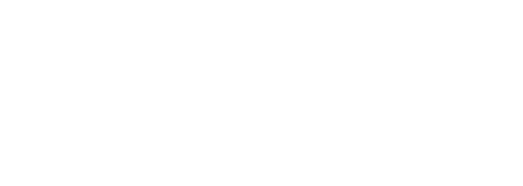 목화솜 피는 날