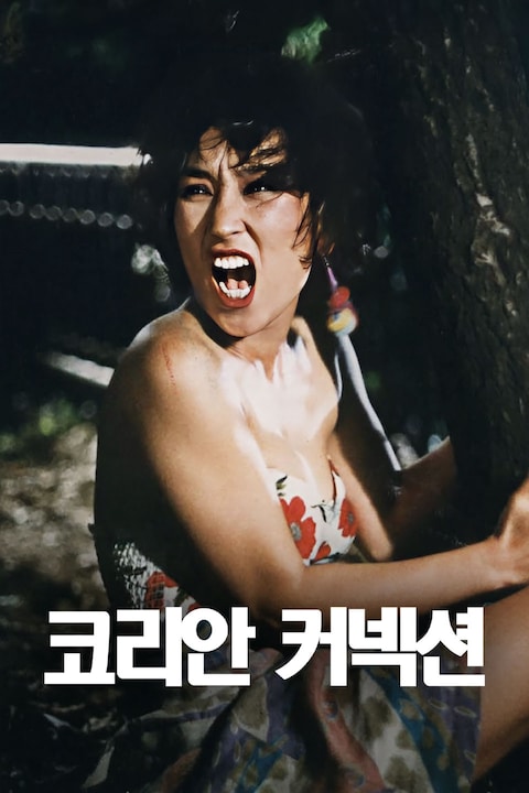 코리안 커넥션