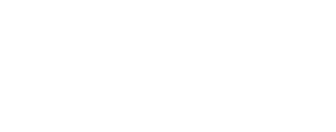드래곤 길들이기