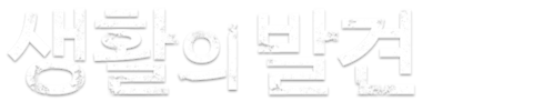 생활의 발견