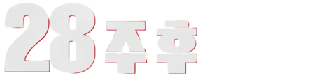 28주 후