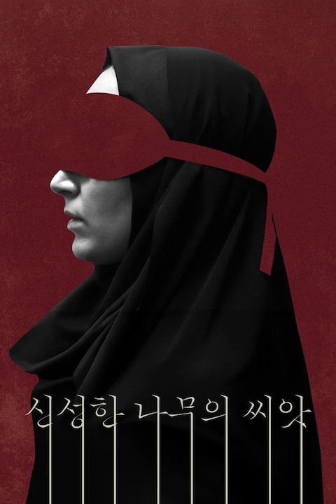 신성한 나무의 씨앗