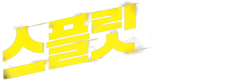 스플릿