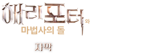 해리 포터와 마법사의 돌: 매지컬 무비 모드 (자막)